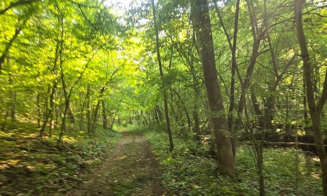 2521 Bald Hill Road, Carlisle, KY 40311