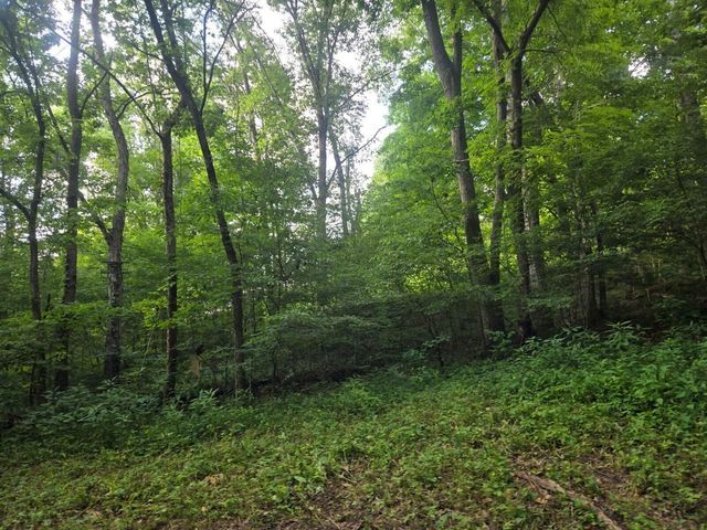 2521 Bald Hill Road, Carlisle, KY 40311