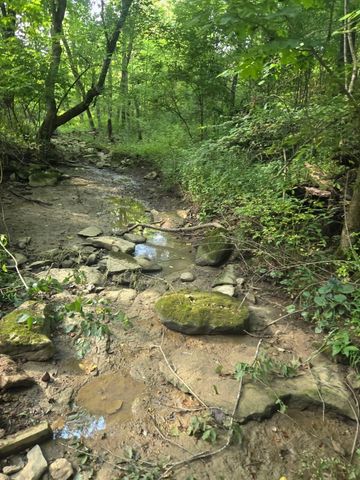 2521 Bald Hill Road, Carlisle, KY 40311