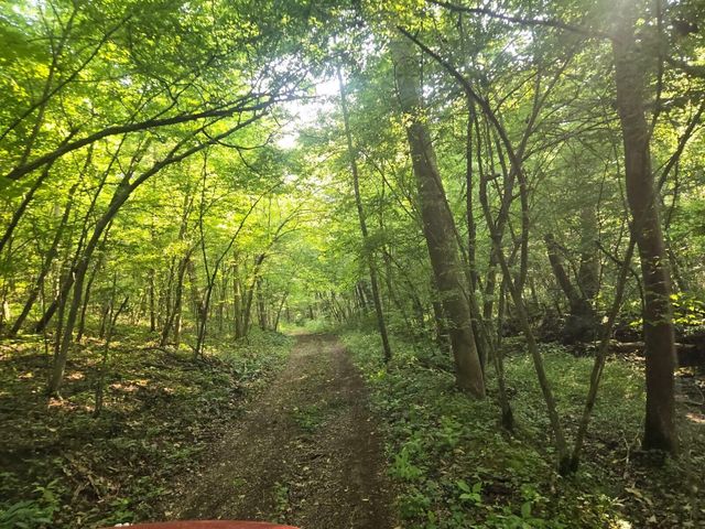 2521 Bald Hill Road, Carlisle, KY 40311