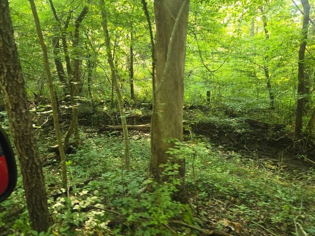 2521 Bald Hill Road, Carlisle, KY 40311