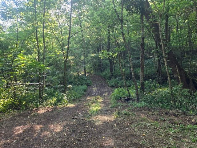 2521 Bald Hill Road, Carlisle, KY 40311