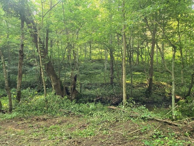 2521 Bald Hill Road, Carlisle, KY 40311