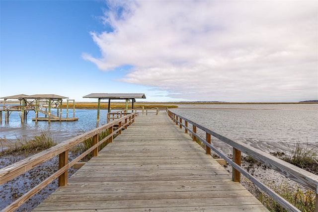 1207 Lewis Lane NE, Townsend, GA 31331