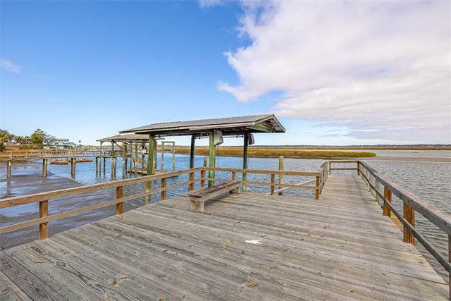 1207 Lewis Lane NE, Townsend, GA 31331