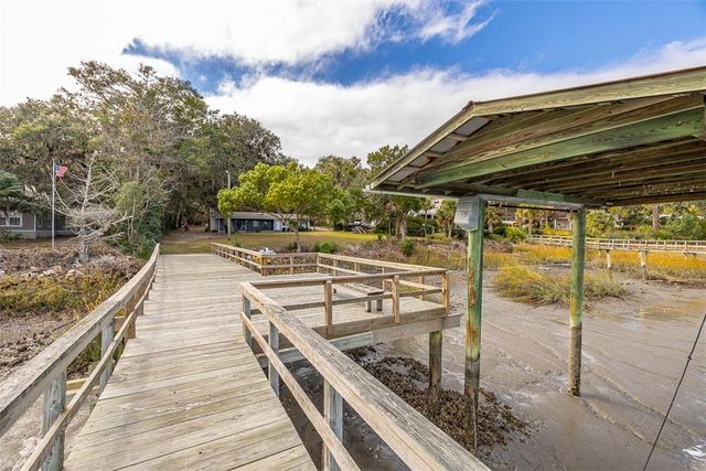 1207 Lewis Lane NE, Townsend, GA 31331