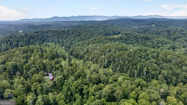 75 Farley Court, Ellijay, GA 30540