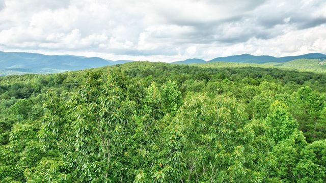 17.67 AC Mt. Mcgruder Road, Ellijay, GA 30536