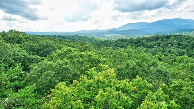 17.67 AC Mt. Mcgruder Road, Ellijay, GA 30536