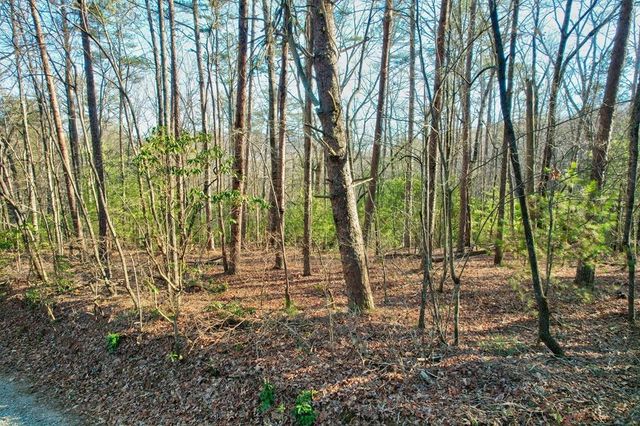 17.67 AC Mt. Mcgruder Road, Ellijay, GA 30536