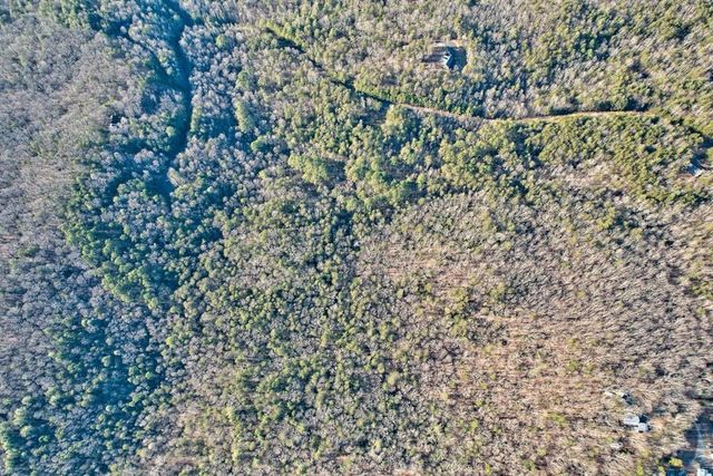 17.67 AC Mt. Mcgruder Road, Ellijay, GA 30536