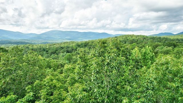 17.67 AC Mt. Mcgruder Road, Ellijay, GA 30536