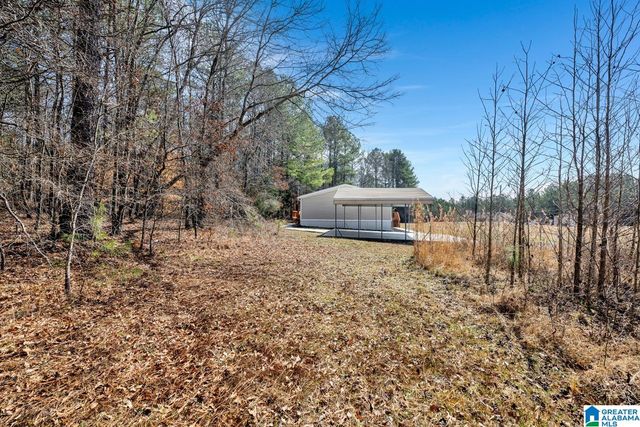 100 COUNTY ROAD 5000, Hanceville, AL 35077