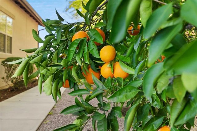 7774 Kingdom, Riverside, CA 92506