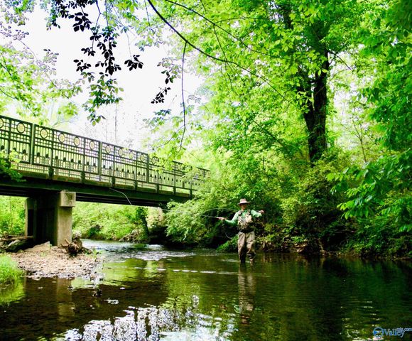 445 Providence Main Street 407, Huntsville, AL 35806