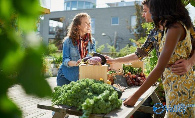 445 Providence Main Street 407, Huntsville, AL 35806