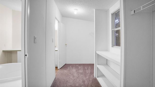 13507 Enchanted Cove, Willis, TX 77318