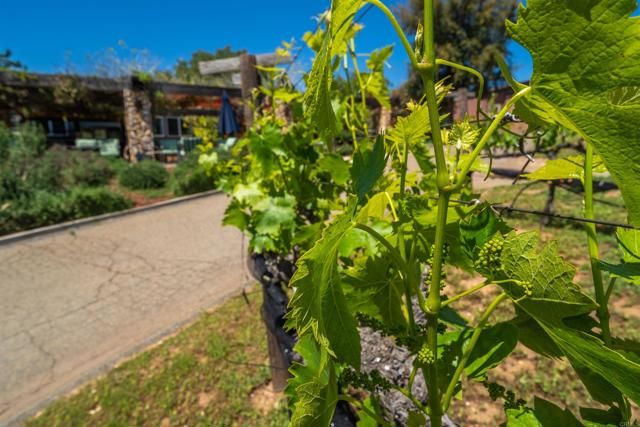 25260 E Old Julian Hwy, Ramona, CA 92065