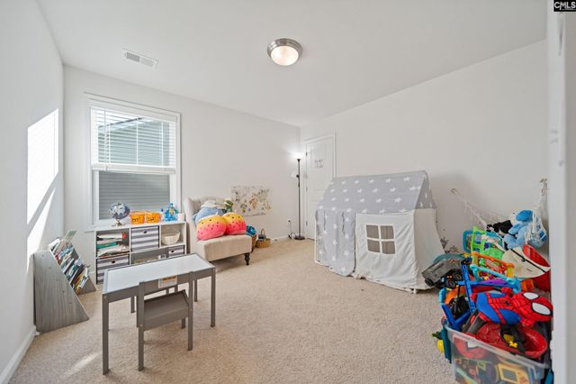 315 Savannah Wood Road, Hopkins, SC 29061