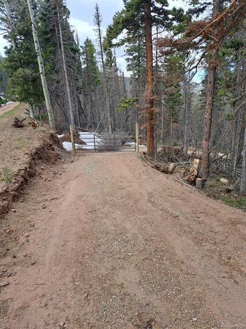2767-2769 Purnell Lane, Fort Garland, CO 81133