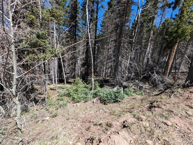 2767-2769 Purnell Lane, Fort Garland, CO 81133