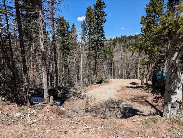 2767-2769 Purnell Lane, Fort Garland, CO 81133