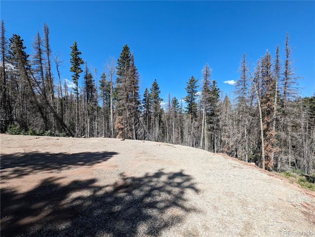 2767-2769 Purnell Lane, Fort Garland, CO 81133