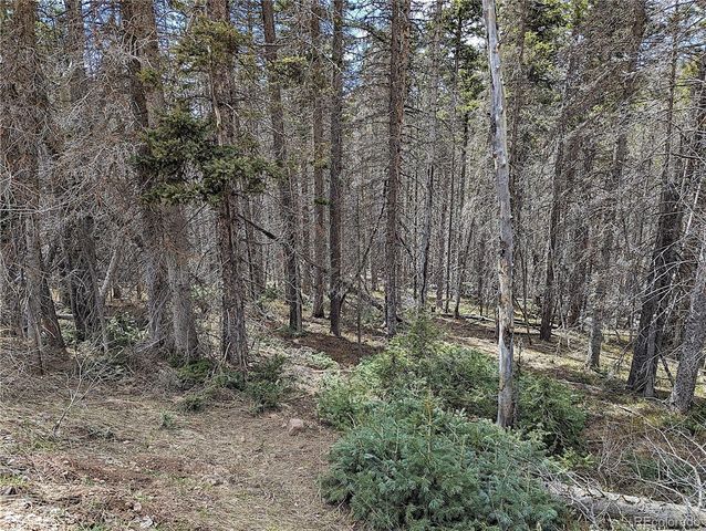 2767-2769 Purnell Lane, Fort Garland, CO 81133