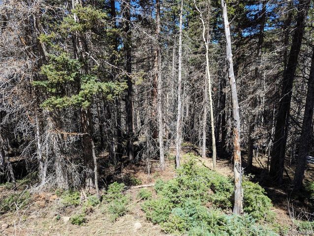 2767-2769 Purnell Lane, Fort Garland, CO 81133
