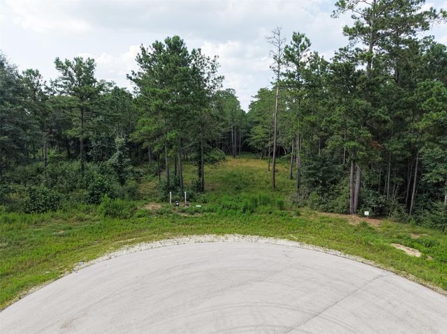 159 Gypsum Road, New Waverly, TX 77378