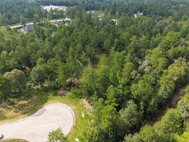 159 Gypsum Road, New Waverly, TX 77378