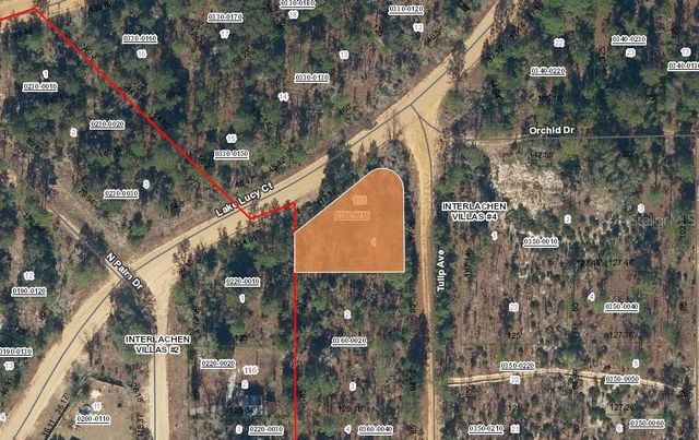 133 LAKE LUCY COURT, Interlachen, FL 32148