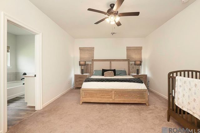 8242 Treeline Dr, Gonzales, LA 70737