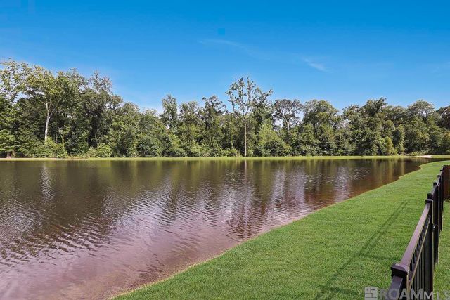 8242 Treeline Dr, Gonzales, LA 70737