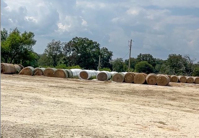 0046 Fm 2548 E, Midway, TX 75852