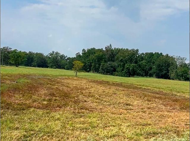 0046 Fm 2548 E, Midway, TX 75852