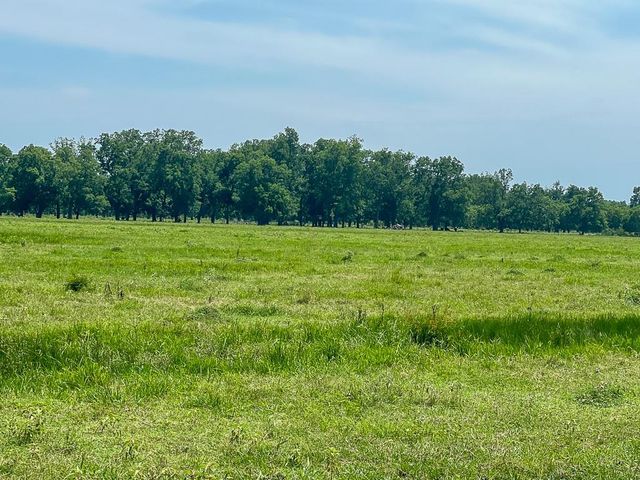0046 Fm 2548 E, Midway, TX 75852
