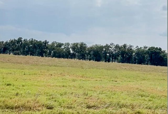 0046 Fm 2548 E, Midway, TX 75852