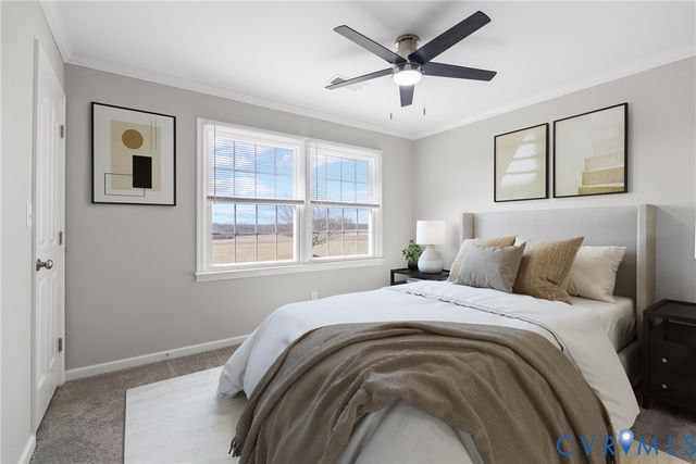 842 Hardtimes Rd, Farmville, VA 23901