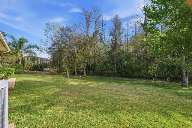 14834 MAN O WAR DRIVE, Odessa, FL 33556