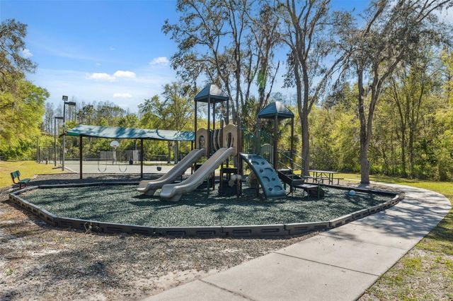 14834 MAN O WAR DRIVE, Odessa, FL 33556