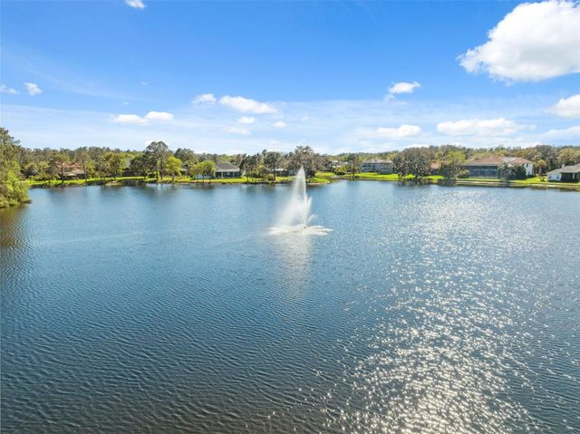 14834 MAN O WAR DRIVE, Odessa, FL 33556