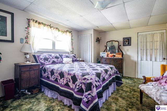 4296 Berrytown Road, Rineyville, KY 40162