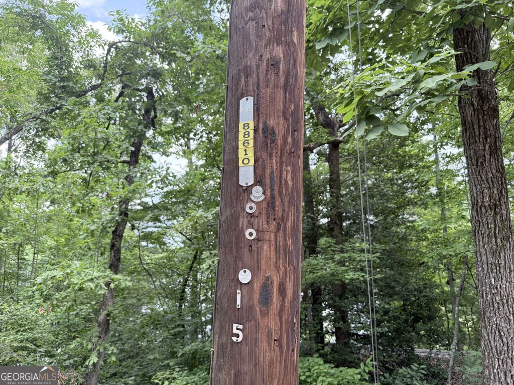 0 Crystal Lake Road LOT 36, Mountain Rest, SC 29664 — photo 5