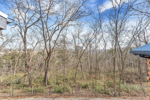 149 Princeton Avenue, Hollister, MO 65672