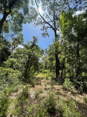10719 E Tree Lane, Inverness, FL 34450