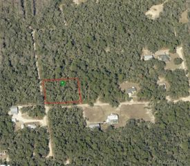 10719 E Tree Lane, Inverness, FL 34450