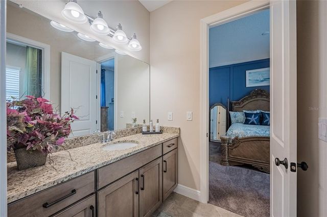 4206 TOUR TRACE, Land O Lakes, FL 34638