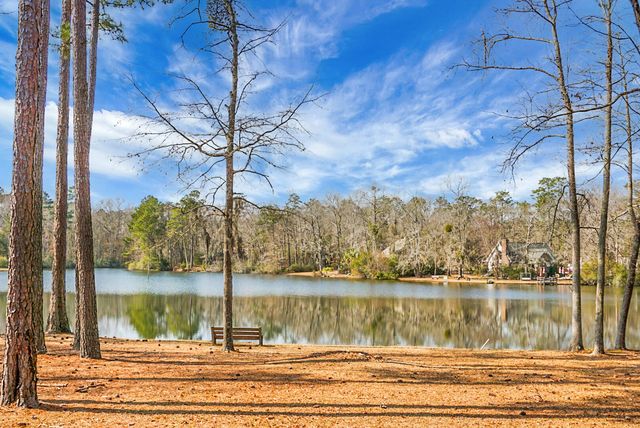 1 Santee Lakes Court, Elloree, SC 29047