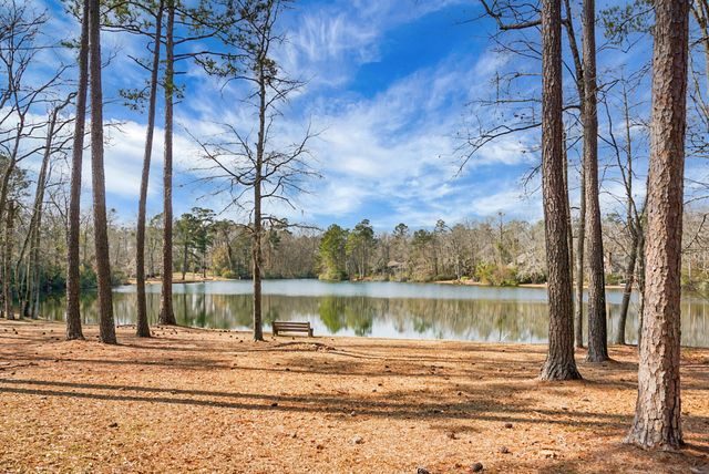 1 Santee Lakes Court, Elloree, SC 29047